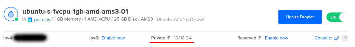 digitalocean_droplet_private_ip.png